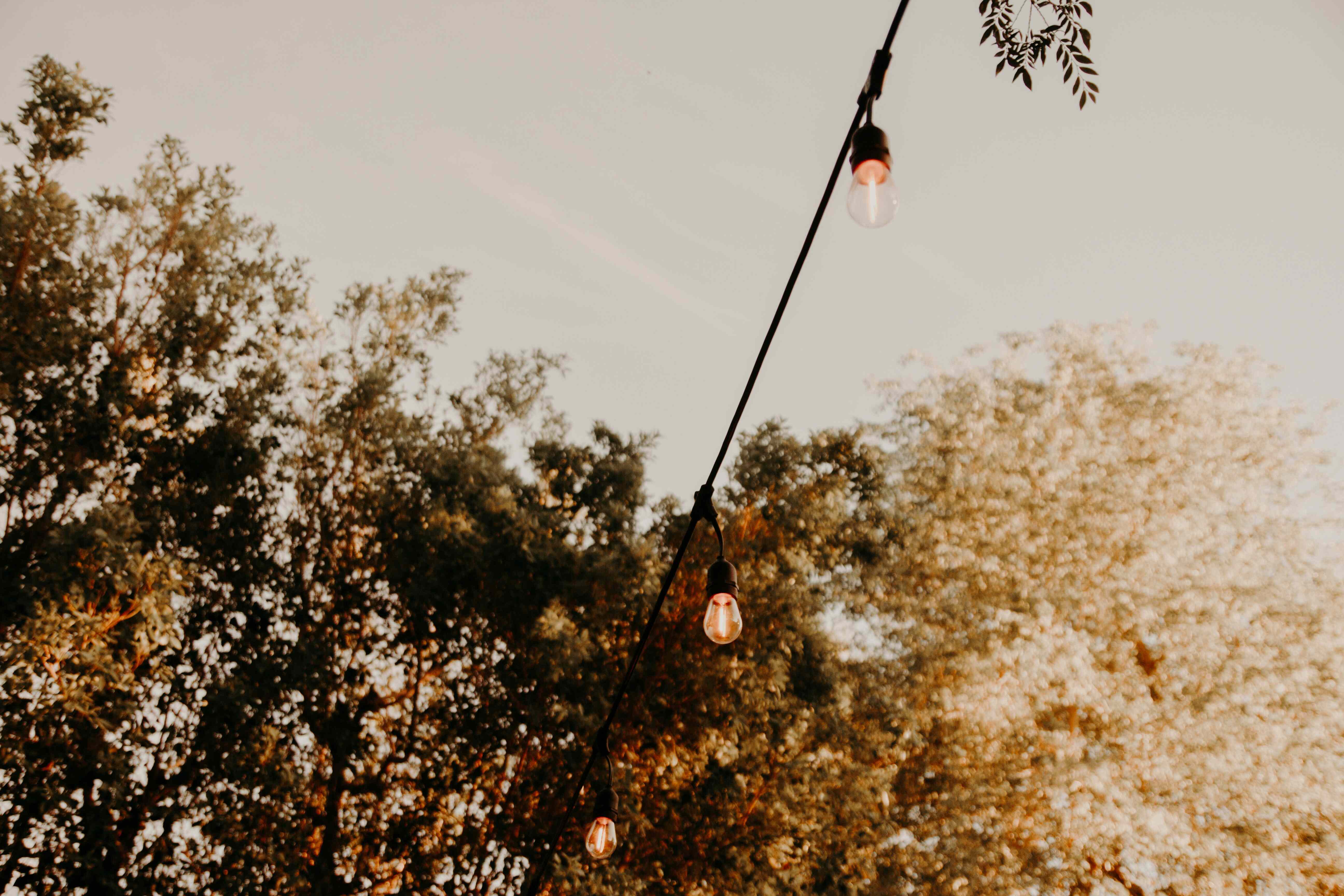 A String of lights hanging betweem trees. Photo by Kenny Eliason on Unsplash